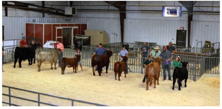 Washita County Free Fair