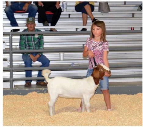 Washita County Free Fair