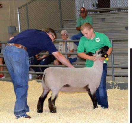 Washita County Free Fair