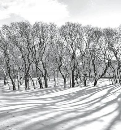 The late afternoon highlights some fun and interesting shadows across the fresh snow fall.