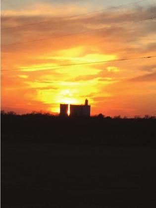 Favorite Views Of Cordell: Dana Hardin