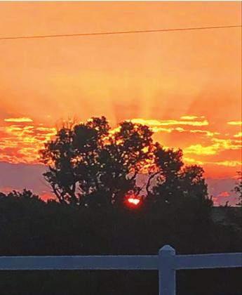 Favorite Views Of Cordell: Shaylin Mathes