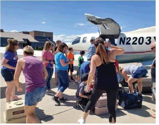 Volunteers help load a plane with pets being relocated. Photo courtesy of Kathy Collier.