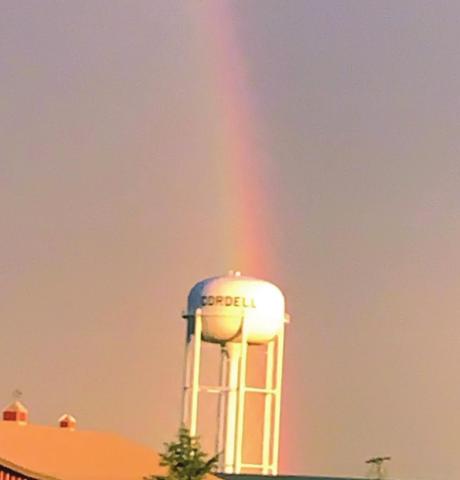 Favorite Views Of Cordell: Amy Koon