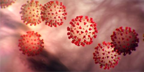 Coronavirus