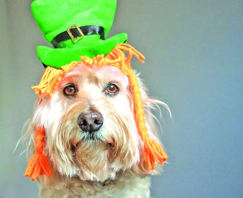 Enter your best "green" photo for a chance to win a prize from West Okie Boutique. COURTESY PHOTO