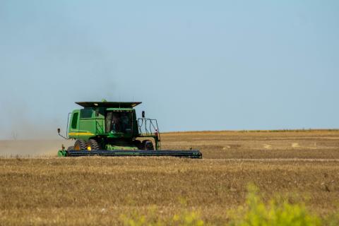 A combine runs steadily in a field east of Cordell on Highway 152. Hot windy days will aid in the harvest. PHOTO BY HECTOR LUCAS