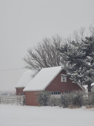 Snowfall brings beautiful scenery to Washita County
