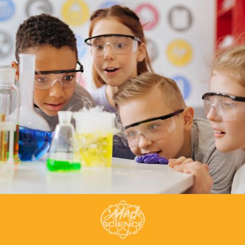Mad Science 