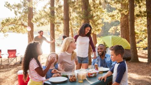 Tips for Avoiding Bug Bites This Summer