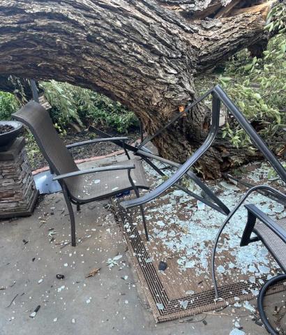 A local resident, Brad Jones, had discovered the damage to the elements of his backyard oasis after what locals are calling a "mother tree" split and fell into his backyard. Photo by Phil Kliewer