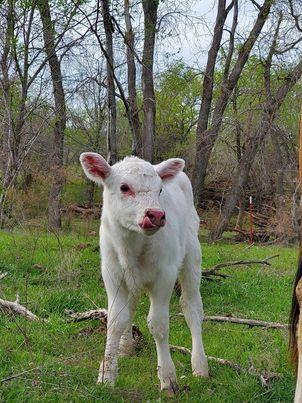 Photo by Donna Gilpatrick
