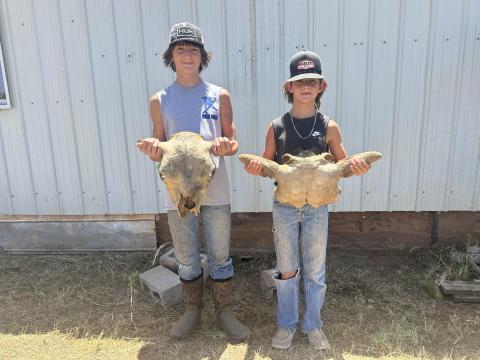 Hesston and Stetson Fry
