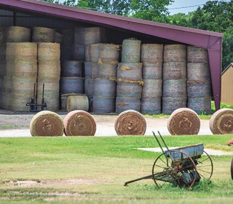 Proper hay management and storage is a must, both to ensure quality and protect against spontaneous combustion. (Photo by Todd Johnson, OSU Agricultural Communications Services)