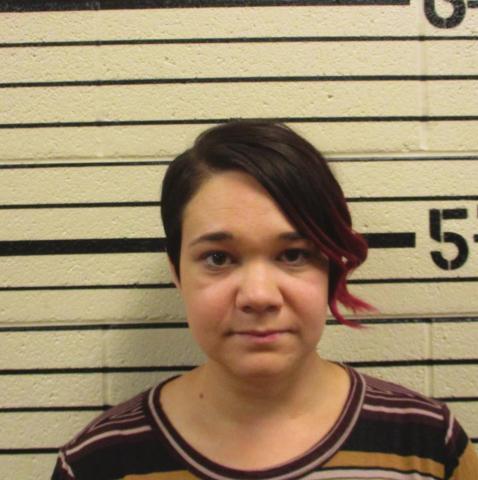 Theresa Danelle Nixon WCSO Booking Phot