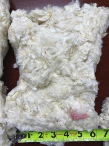 Cotton contamination is big problem during processing