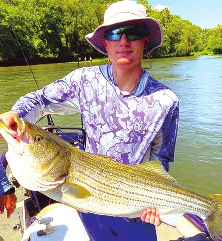 	Now That’s A Big Fish!