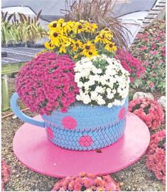 It’s Time to Brighten Your Fall Landscape with Colorful Mums