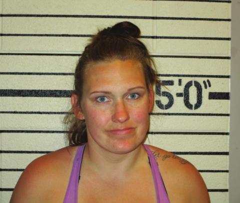 Jamaia Dawn Cress WCSO Booking Photo