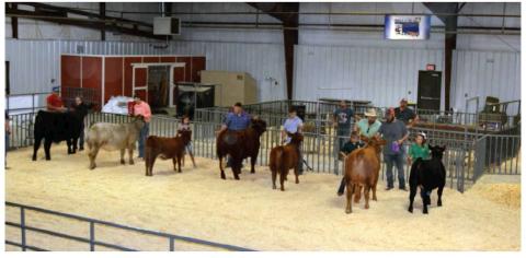 Washita County Free Fair