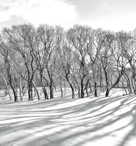 The late afternoon highlights some fun and interesting shadows across the fresh snow fall.
