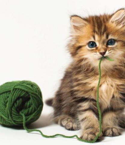 Enter your best "green" photo for a chance to win a prize from West Okie Boutique. COURTESY PHOTO