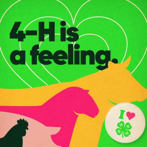 There’s plenty to love about Washita County’s National 4-H Week